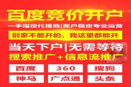 案例对比：SEO与SEM优化效果深度分析